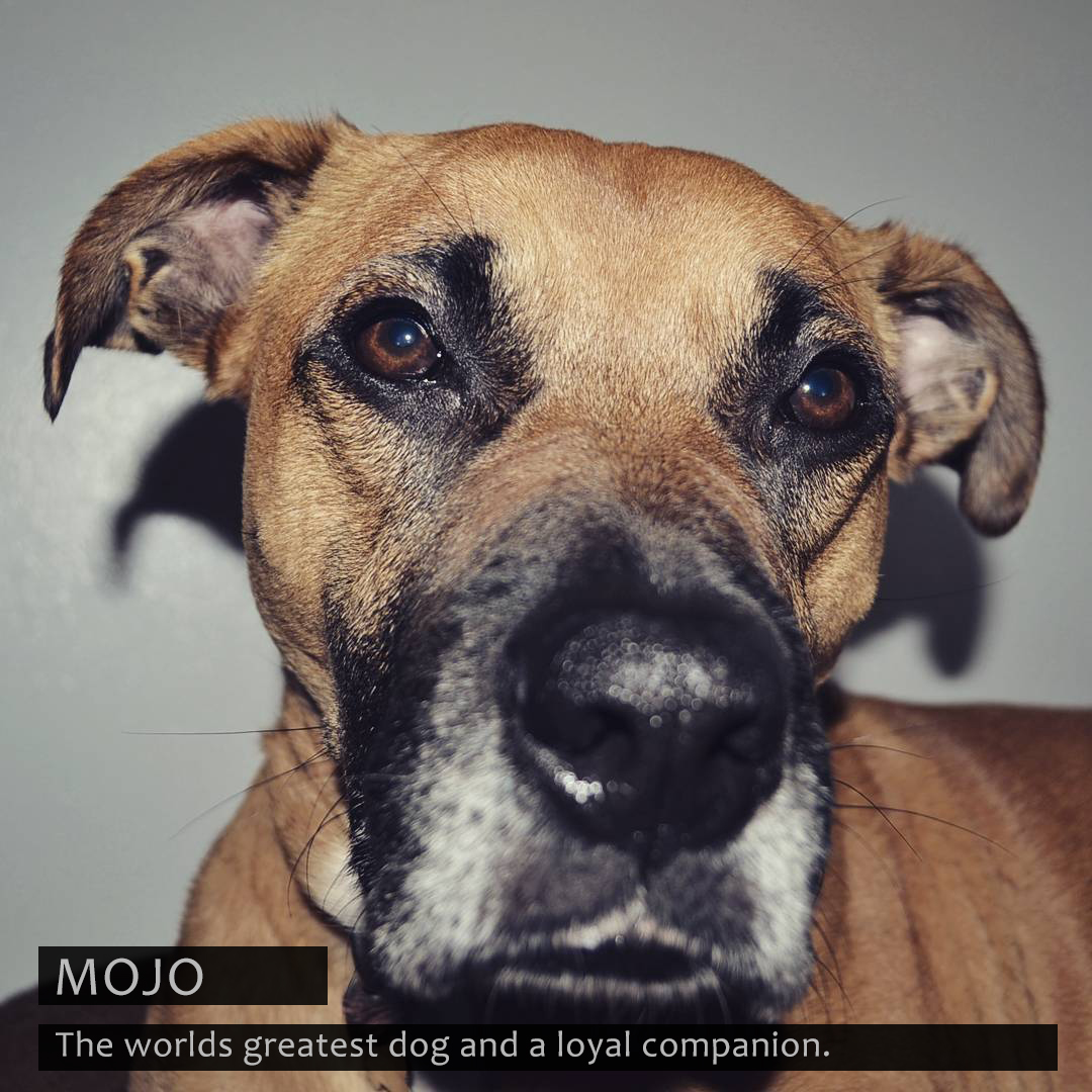 Mojo